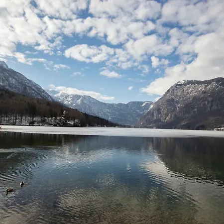 Apartment Bright Loft Near Bohinj